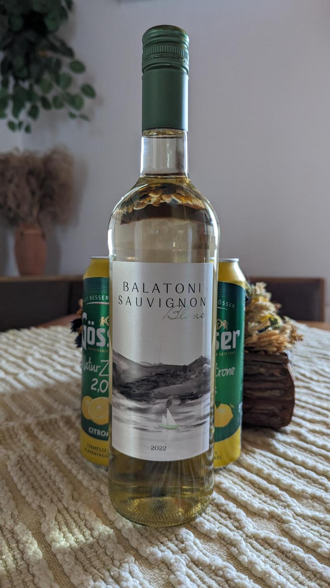 Viragos Apartman Balatonszárszó المظهر الخارجي الصورة