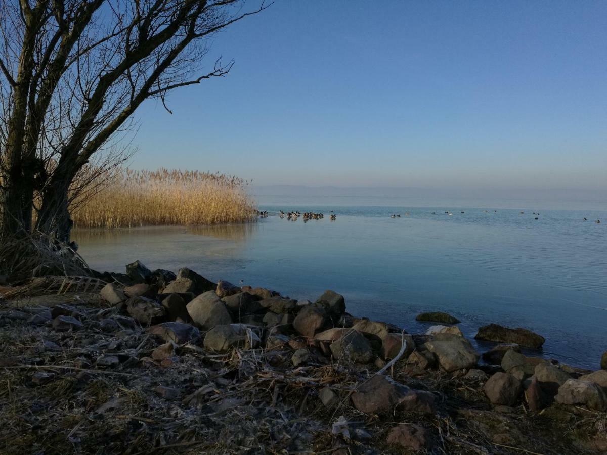 Viragos Apartman Balatonszárszó المظهر الخارجي الصورة